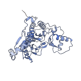 17004_8oo0_D_v1-0
Chaetomium thermophilum Methionine Aminopeptidase 2 autoproteolysis product at the 80S ribosome