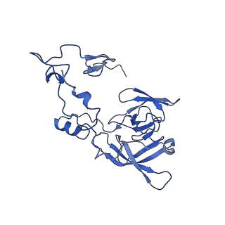 17004_8oo0_LA_v1-0
Chaetomium thermophilum Methionine Aminopeptidase 2 autoproteolysis product at the 80S ribosome