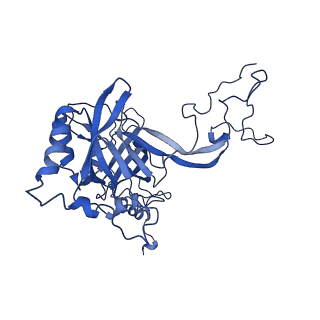 17004_8oo0_LB_v1-0
Chaetomium thermophilum Methionine Aminopeptidase 2 autoproteolysis product at the 80S ribosome