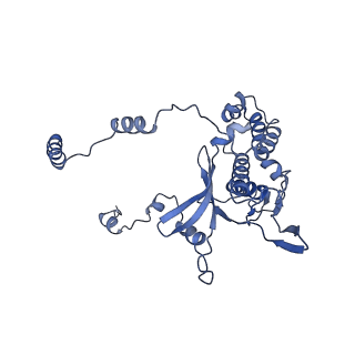 17004_8oo0_LD_v1-0
Chaetomium thermophilum Methionine Aminopeptidase 2 autoproteolysis product at the 80S ribosome