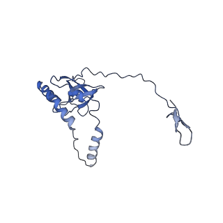 17004_8oo0_LE_v1-0
Chaetomium thermophilum Methionine Aminopeptidase 2 autoproteolysis product at the 80S ribosome