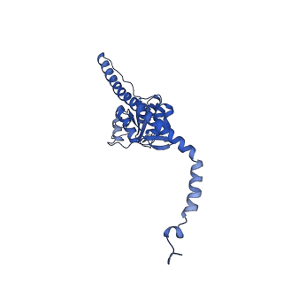 17004_8oo0_LF_v1-0
Chaetomium thermophilum Methionine Aminopeptidase 2 autoproteolysis product at the 80S ribosome