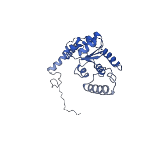 17004_8oo0_LG_v1-0
Chaetomium thermophilum Methionine Aminopeptidase 2 autoproteolysis product at the 80S ribosome