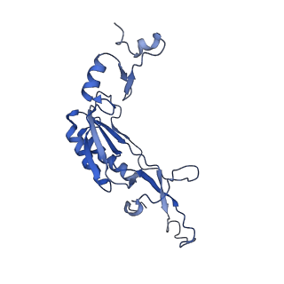 17004_8oo0_LI_v1-0
Chaetomium thermophilum Methionine Aminopeptidase 2 autoproteolysis product at the 80S ribosome