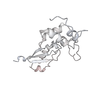 17004_8oo0_LK_v1-0
Chaetomium thermophilum Methionine Aminopeptidase 2 autoproteolysis product at the 80S ribosome