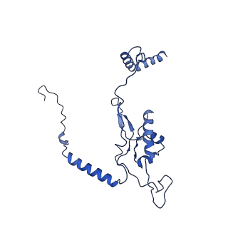 17004_8oo0_LL_v1-0
Chaetomium thermophilum Methionine Aminopeptidase 2 autoproteolysis product at the 80S ribosome