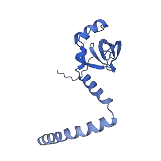 17004_8oo0_LM_v1-0
Chaetomium thermophilum Methionine Aminopeptidase 2 autoproteolysis product at the 80S ribosome