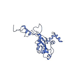 17004_8oo0_LN_v1-0
Chaetomium thermophilum Methionine Aminopeptidase 2 autoproteolysis product at the 80S ribosome