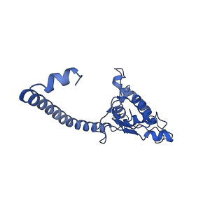 17004_8oo0_LO_v1-0
Chaetomium thermophilum Methionine Aminopeptidase 2 autoproteolysis product at the 80S ribosome