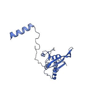 17004_8oo0_LP_v1-0
Chaetomium thermophilum Methionine Aminopeptidase 2 autoproteolysis product at the 80S ribosome