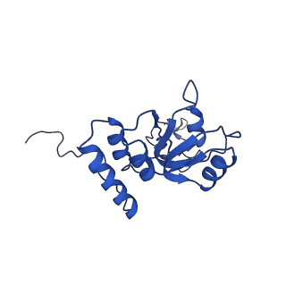 17004_8oo0_LQ_v1-0
Chaetomium thermophilum Methionine Aminopeptidase 2 autoproteolysis product at the 80S ribosome