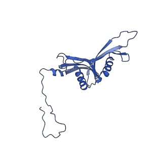 17004_8oo0_LS_v1-0
Chaetomium thermophilum Methionine Aminopeptidase 2 autoproteolysis product at the 80S ribosome