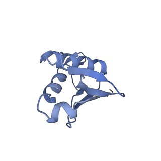 17004_8oo0_LU_v1-0
Chaetomium thermophilum Methionine Aminopeptidase 2 autoproteolysis product at the 80S ribosome