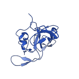 17004_8oo0_LV_v1-0
Chaetomium thermophilum Methionine Aminopeptidase 2 autoproteolysis product at the 80S ribosome