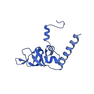 17004_8oo0_LY_v1-0
Chaetomium thermophilum Methionine Aminopeptidase 2 autoproteolysis product at the 80S ribosome