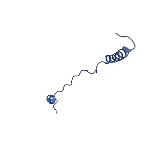 17004_8oo0_Lb_v1-0
Chaetomium thermophilum Methionine Aminopeptidase 2 autoproteolysis product at the 80S ribosome