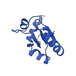17004_8oo0_Lc_v1-0
Chaetomium thermophilum Methionine Aminopeptidase 2 autoproteolysis product at the 80S ribosome