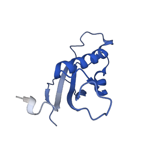 17004_8oo0_Ld_v1-0
Chaetomium thermophilum Methionine Aminopeptidase 2 autoproteolysis product at the 80S ribosome