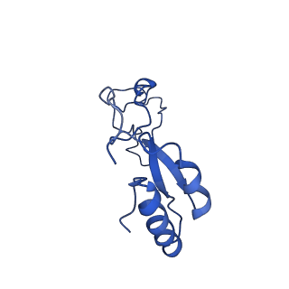 17004_8oo0_Le_v1-0
Chaetomium thermophilum Methionine Aminopeptidase 2 autoproteolysis product at the 80S ribosome