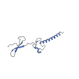 17004_8oo0_Lg_v1-0
Chaetomium thermophilum Methionine Aminopeptidase 2 autoproteolysis product at the 80S ribosome