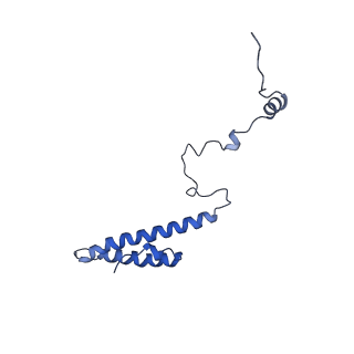 17004_8oo0_Lh_v1-0
Chaetomium thermophilum Methionine Aminopeptidase 2 autoproteolysis product at the 80S ribosome