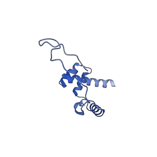 17004_8oo0_Li_v1-0
Chaetomium thermophilum Methionine Aminopeptidase 2 autoproteolysis product at the 80S ribosome