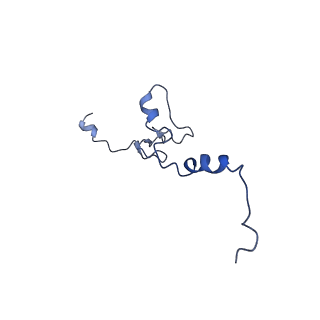 17004_8oo0_Lj_v1-0
Chaetomium thermophilum Methionine Aminopeptidase 2 autoproteolysis product at the 80S ribosome