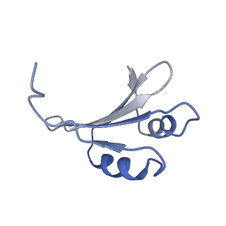 17004_8oo0_Lk_v1-0
Chaetomium thermophilum Methionine Aminopeptidase 2 autoproteolysis product at the 80S ribosome