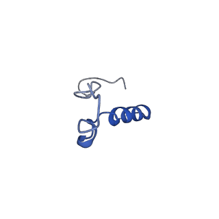 17004_8oo0_Ll_v1-0
Chaetomium thermophilum Methionine Aminopeptidase 2 autoproteolysis product at the 80S ribosome