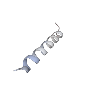 17004_8oo0_Ln_v1-0
Chaetomium thermophilum Methionine Aminopeptidase 2 autoproteolysis product at the 80S ribosome