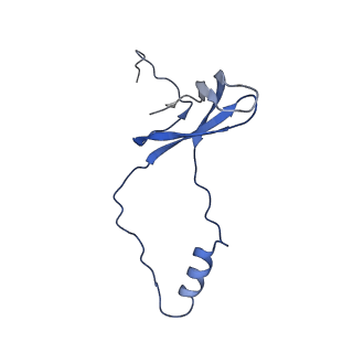 17004_8oo0_Lo_v1-0
Chaetomium thermophilum Methionine Aminopeptidase 2 autoproteolysis product at the 80S ribosome