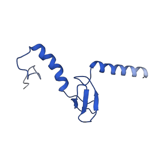 17004_8oo0_Lp_v1-0
Chaetomium thermophilum Methionine Aminopeptidase 2 autoproteolysis product at the 80S ribosome