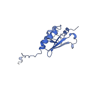 17004_8oo0_Lq_v1-0
Chaetomium thermophilum Methionine Aminopeptidase 2 autoproteolysis product at the 80S ribosome