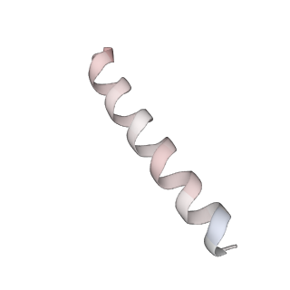 17004_8oo0_Lr_v1-0
Chaetomium thermophilum Methionine Aminopeptidase 2 autoproteolysis product at the 80S ribosome