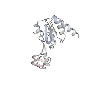 17004_8oo0_Ls_v1-0
Chaetomium thermophilum Methionine Aminopeptidase 2 autoproteolysis product at the 80S ribosome