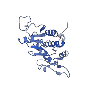 17004_8oo0_SA_v1-0
Chaetomium thermophilum Methionine Aminopeptidase 2 autoproteolysis product at the 80S ribosome