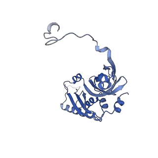 17004_8oo0_SB_v1-0
Chaetomium thermophilum Methionine Aminopeptidase 2 autoproteolysis product at the 80S ribosome