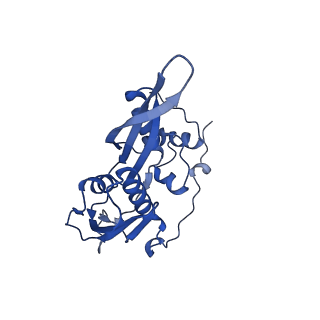 17004_8oo0_SC_v1-0
Chaetomium thermophilum Methionine Aminopeptidase 2 autoproteolysis product at the 80S ribosome