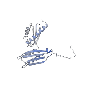 17004_8oo0_SD_v1-0
Chaetomium thermophilum Methionine Aminopeptidase 2 autoproteolysis product at the 80S ribosome