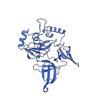 17004_8oo0_SE_v1-0
Chaetomium thermophilum Methionine Aminopeptidase 2 autoproteolysis product at the 80S ribosome