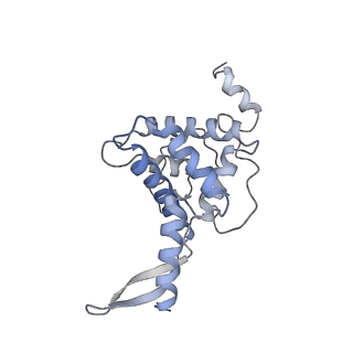 17004_8oo0_SF_v1-0
Chaetomium thermophilum Methionine Aminopeptidase 2 autoproteolysis product at the 80S ribosome