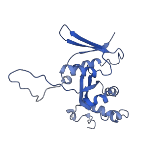 17004_8oo0_SH_v1-0
Chaetomium thermophilum Methionine Aminopeptidase 2 autoproteolysis product at the 80S ribosome