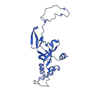 17004_8oo0_SI_v1-0
Chaetomium thermophilum Methionine Aminopeptidase 2 autoproteolysis product at the 80S ribosome