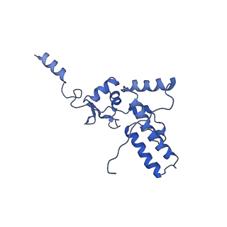 17004_8oo0_SJ_v1-0
Chaetomium thermophilum Methionine Aminopeptidase 2 autoproteolysis product at the 80S ribosome