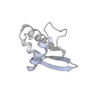 17004_8oo0_SK_v1-0
Chaetomium thermophilum Methionine Aminopeptidase 2 autoproteolysis product at the 80S ribosome