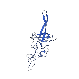 17004_8oo0_SL_v1-0
Chaetomium thermophilum Methionine Aminopeptidase 2 autoproteolysis product at the 80S ribosome