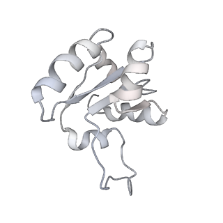 17004_8oo0_SM_v1-0
Chaetomium thermophilum Methionine Aminopeptidase 2 autoproteolysis product at the 80S ribosome