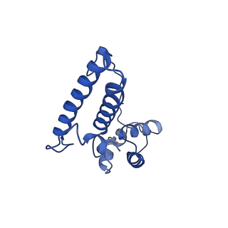 17004_8oo0_SN_v1-0
Chaetomium thermophilum Methionine Aminopeptidase 2 autoproteolysis product at the 80S ribosome