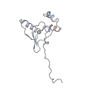 17004_8oo0_SP_v1-0
Chaetomium thermophilum Methionine Aminopeptidase 2 autoproteolysis product at the 80S ribosome