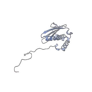 17004_8oo0_SQ_v1-0
Chaetomium thermophilum Methionine Aminopeptidase 2 autoproteolysis product at the 80S ribosome